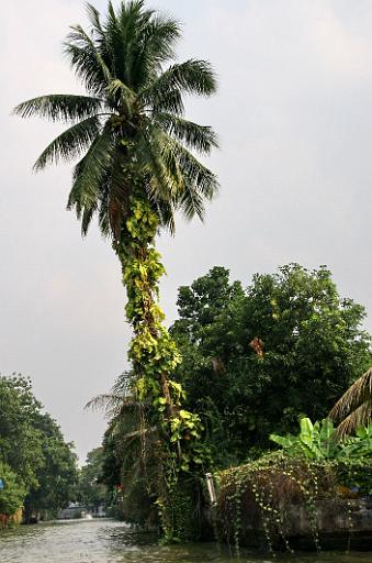 0149- Bangkok Noi boottocht.jpg
